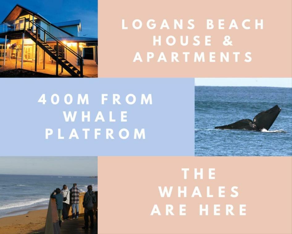 Logans Beach Apartments - The Loft Warrnambool Bagian luar foto